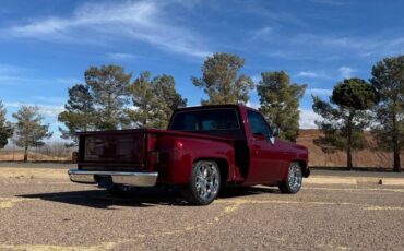 Chevrolet-Silverado-1500-1980-red-32187-6