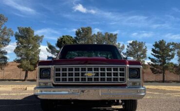 Chevrolet-Silverado-1500-1980-red-32187-7