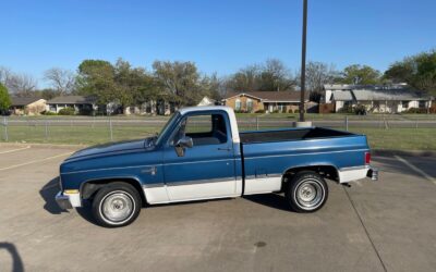 Chevrolet Silverado 1500  1981 à vendre