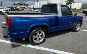 Chevrolet-Silverado-1500-1994-blue-267150-11