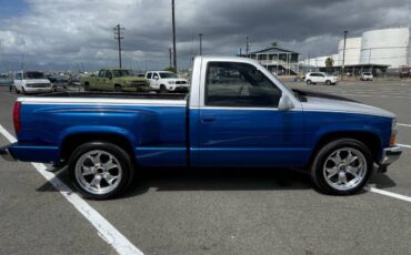 Chevrolet-Silverado-1500-1994-blue-267150-17