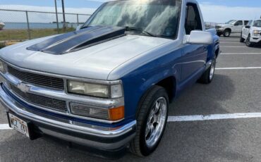 Chevrolet-Silverado-1500-1994-blue-267150-3