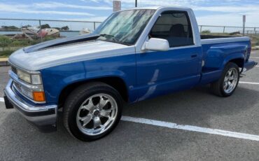 Chevrolet-Silverado-1500-1994-blue-267150-5