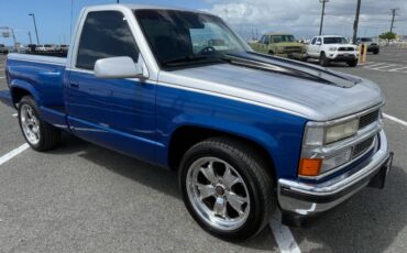 Chevrolet-Silverado-1500-1994-blue-267150-8