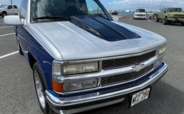 Chevrolet-Silverado-1500-1994-blue-267150-9