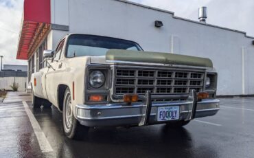 Chevrolet-Silverado-1500-dually-1979-106593-10