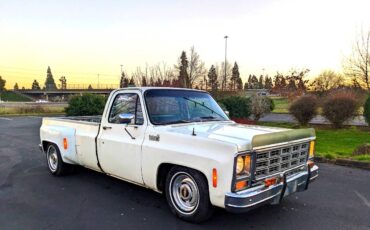 Chevrolet-Silverado-1500-dually-1979-106593