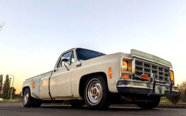 Chevrolet-Silverado-1500-dually-1979-106593-9