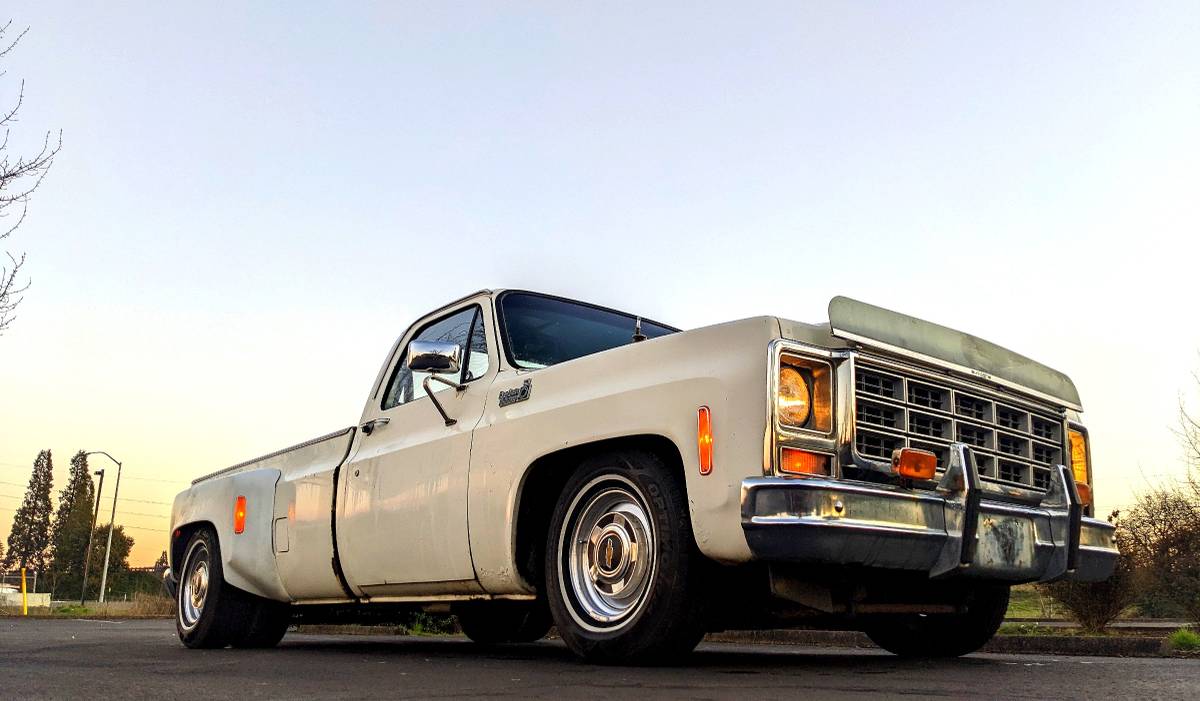 Chevrolet-Silverado-1500-dually-1979-106593-9