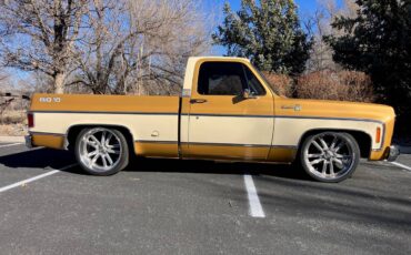 Chevrolet-Silverado-1976-9012-3