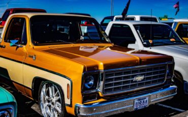 Chevrolet-Silverado-1976-9012-4