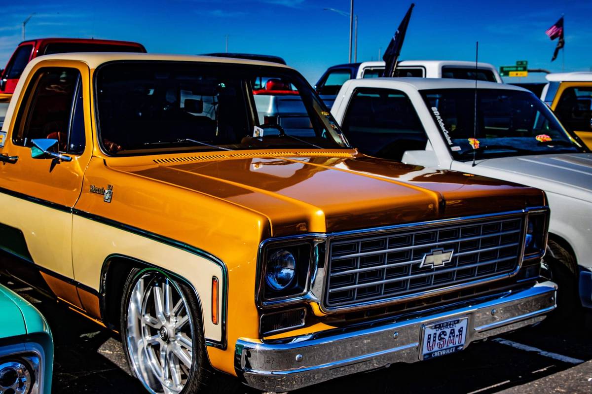 Chevrolet-Silverado-1976-9012-4