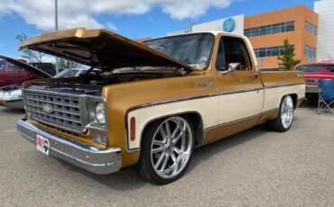 Chevrolet-Silverado-1976-custom-8851-1