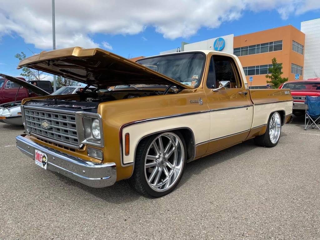 Chevrolet-Silverado-1976-custom-8851-1