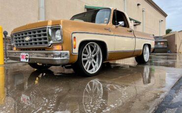 Chevrolet-Silverado-1976-custom-8851-3