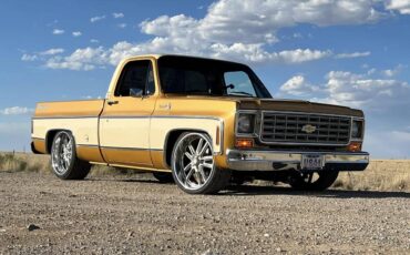 Chevrolet-Silverado-1976-custom-8851