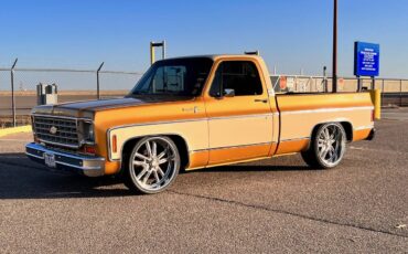 Chevrolet-Silverado-1976-custom-8851-4