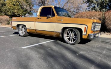 Chevrolet-Silverado-1976-custom-8851-5