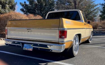 Chevrolet-Silverado-1976-custom-8851-6