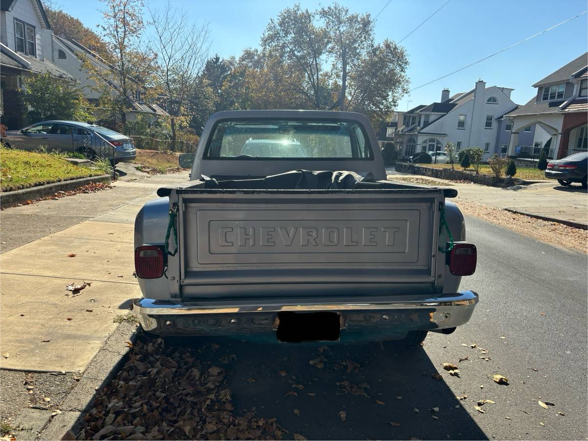 Chevrolet-Silverado-c10-1977-blue-130357-4