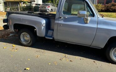 Chevrolet-Silverado-c10-1977-blue-130357-6