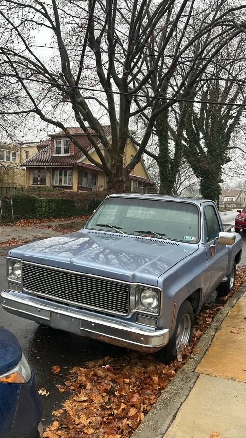 Chevrolet-Silverado-c10-1977-blue-130357-8