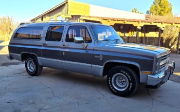 Chevrolet-Suburban-1985-SilverGray-Tan-192960-1