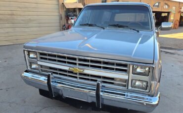 Chevrolet-Suburban-1985-SilverGray-Tan-192960-5