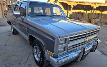 Chevrolet-Suburban-1985-SilverGray-Tan-192960-6