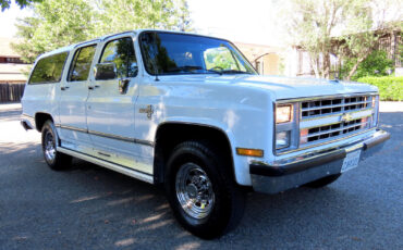 Chevrolet-Suburban-1988-Frost-White-Blue-244862-5