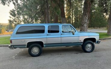 Chevrolet-Suburban-1989-Blue-Blue-118287-5