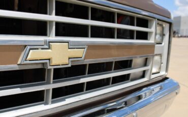 Chevrolet-Suburban-Pickup-1988-Brown-Brown-23257-9