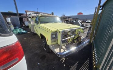 Chevrolet-Truck-1977-green-33986-3