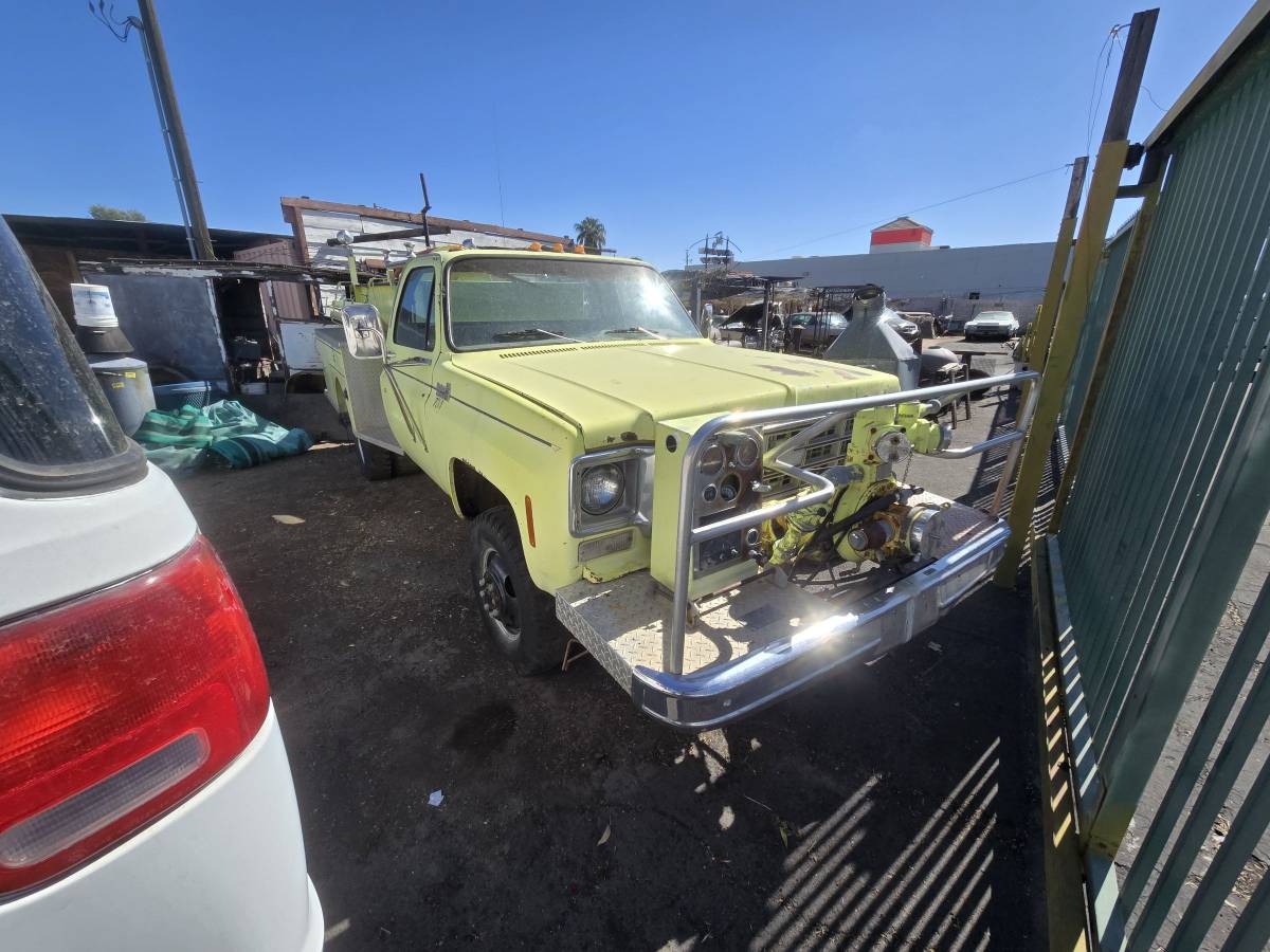 Chevrolet-Truck-1977-green-33986-3