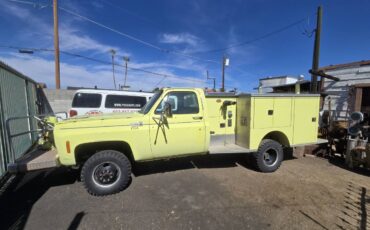 Chevrolet-Truck-1977-green-33986