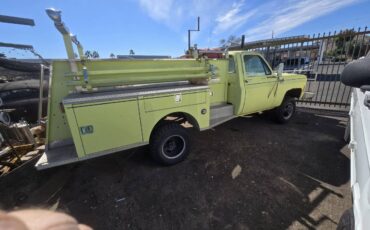 Chevrolet-Truck-1977-green-33986-4