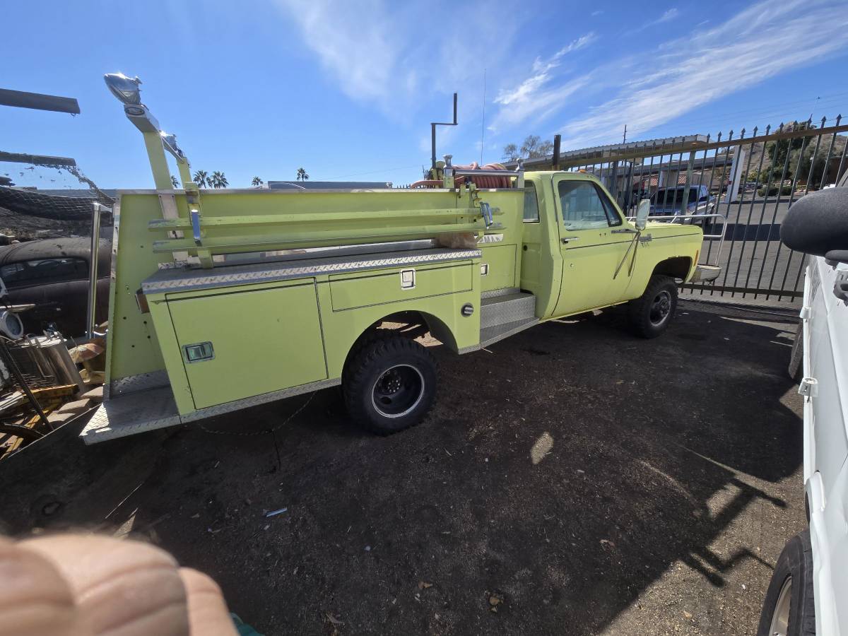 Chevrolet-Truck-1977-green-33986-4