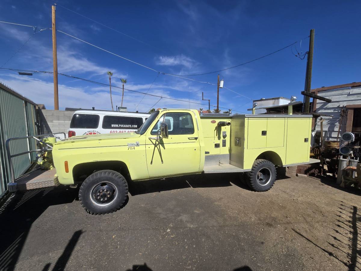 Chevrolet-Truck-1977-green-33986