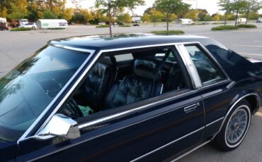 Chrysler-Imperial-1983-blue-75639-4