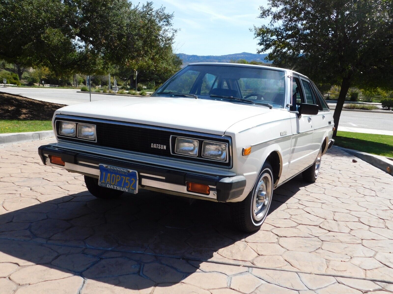 Datsun-Other-Break-1980-White-Blue-175418-2