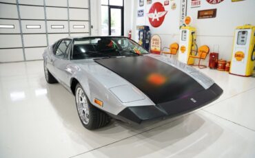 De-Tomaso-Pantera-1974-Silver-Black-1872-13