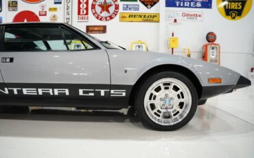 De-Tomaso-Pantera-1974-Silver-Black-1872-33