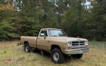 Dodge-1990-brown-175418-1