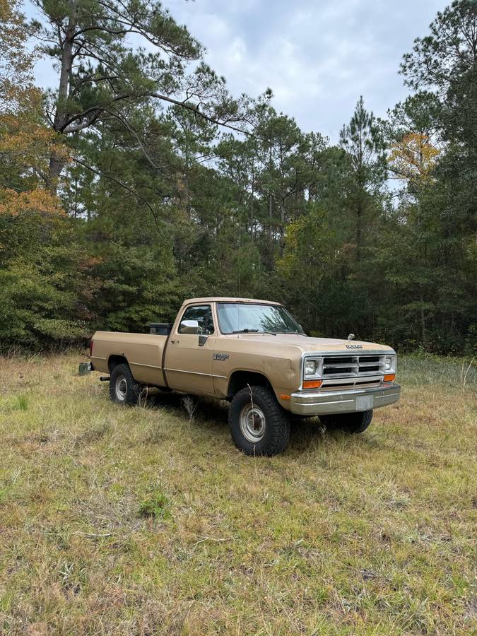 Dodge-1990-brown-175418-1