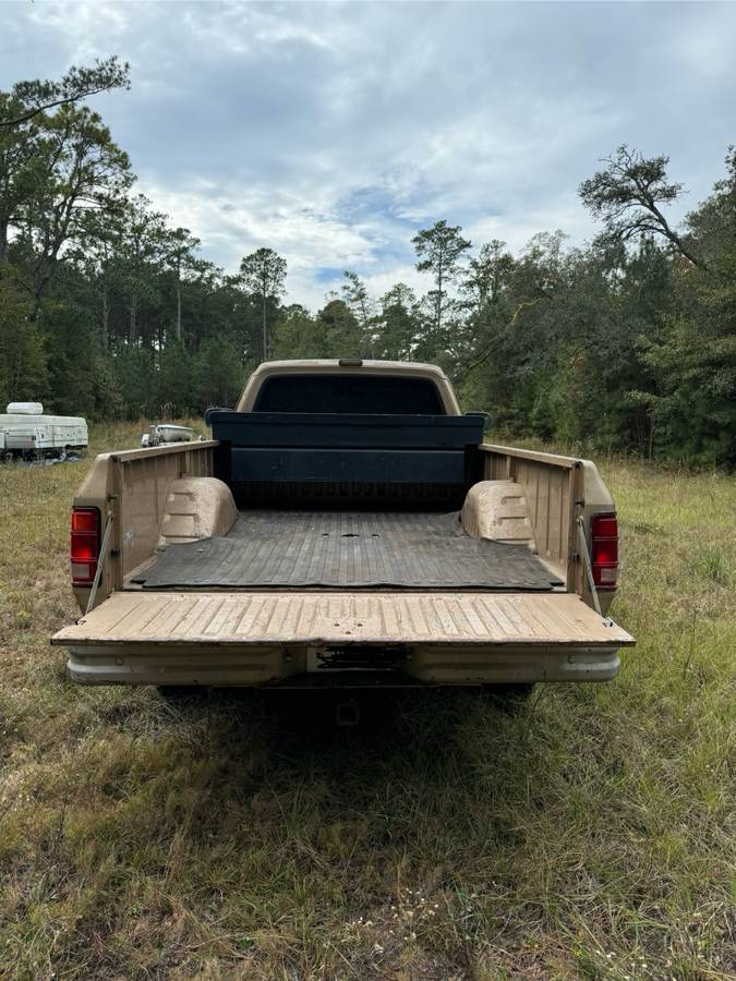 Dodge-1990-brown-175418-2