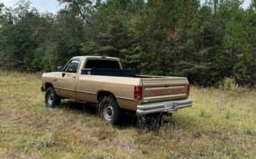 Dodge-1990-brown-175418-3