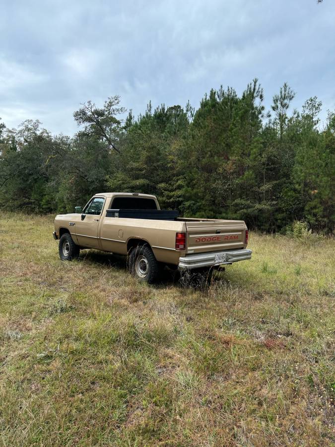 Dodge-1990-brown-175418-3