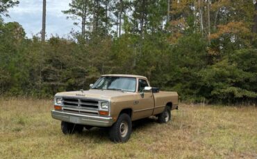 Dodge-1990-brown-175418