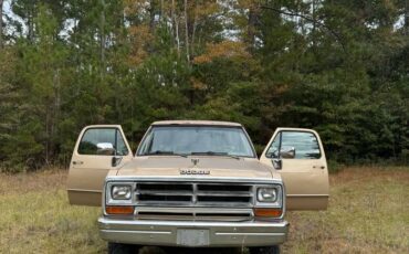 Dodge-1990-brown-175418-4