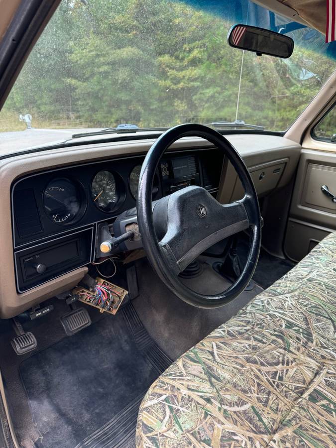 Dodge-1990-brown-175418-7